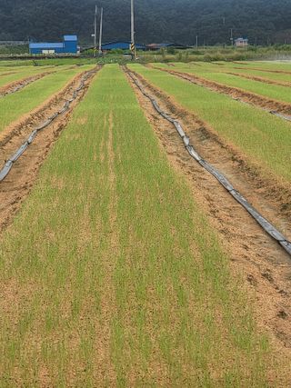 녹색나라님의 자유주제 · 자유게시판 작성글 사진