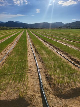 녹색나라님의 자유주제 · 자유게시판 작성글 사진
