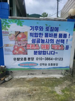 녹색나라님의 자유주제 · 자유게시판 작성글 사진