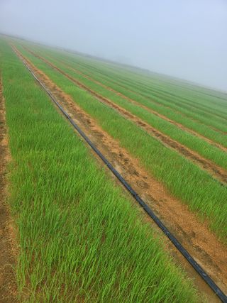 녹색나라님의 자유주제 · 자유게시판 작성글 사진