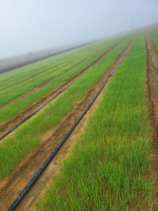 녹색나라님의 자유주제 · 자유게시판 작성글 사진