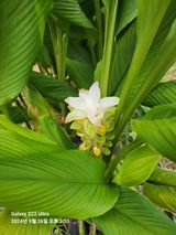 팜모닝 자유주제·자유게시판 게시글 이미지