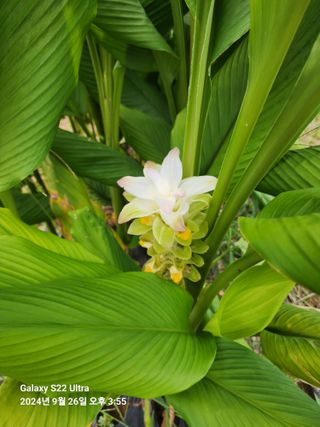 용수리또리농장님의 자유주제 · 자유게시판 작성글 사진