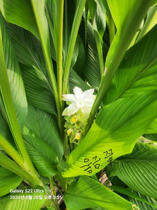 용수리또리농장님의 자유주제 · 자유게시판 작성글 사진