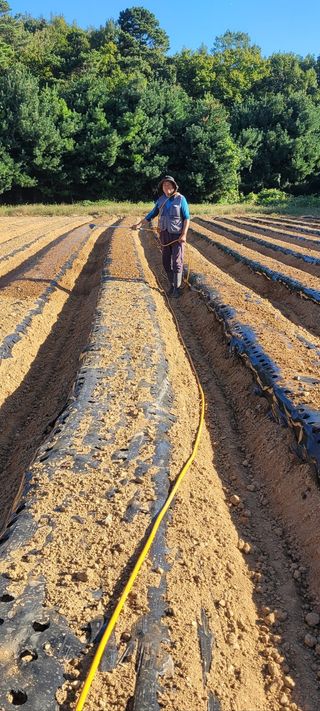 태일농산이정수님의 10월 내 농작물 자랑하기 · 참여글 작성글 사진