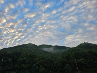 최연재님의 자유주제 · 자유게시판 작성글 사진