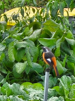 최연재님의 자유주제 · 자유게시판 작성글 사진