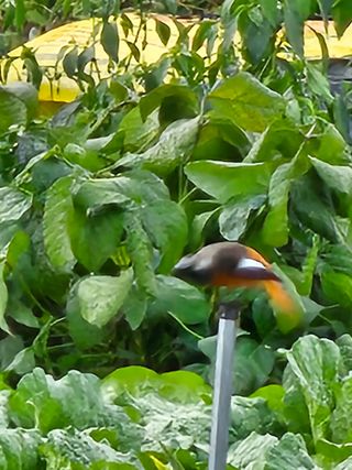 최연재님의 자유주제 · 자유게시판 작성글 사진