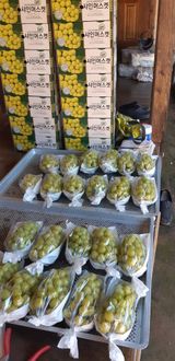 팜모닝 10월 내 농작물 자랑하기·참여글 게시글 이미지