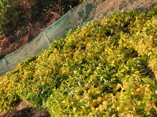 정금천님의 자유주제 · 자유게시판 작성글 사진