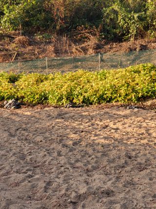 정금천님의 자유주제 · 자유게시판 작성글 사진