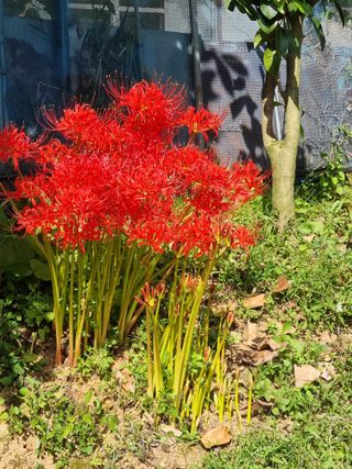 김선두님의 자유주제 · 자유게시판 작성글 사진