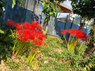 김선두님의 자유주제 · 자유게시판 작성글 사진