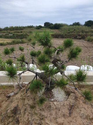 작은소나무님의 자유주제 · 자유게시판 작성글 사진