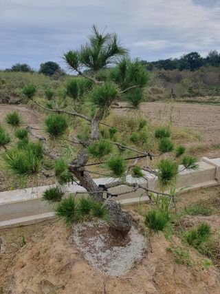 작은소나무님의 자유주제 · 자유게시판 작성글 사진