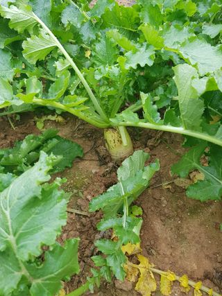 김건호님의 자유주제 · 자유게시판 작성글 사진