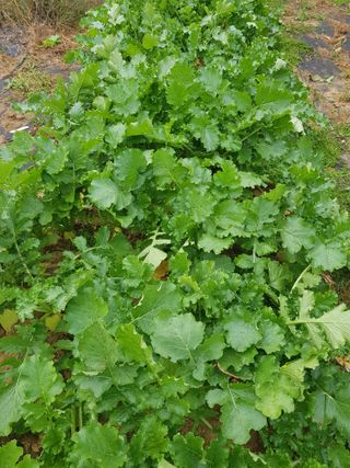 김건호님의 자유주제 · 자유게시판 작성글 사진