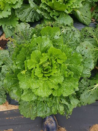 김건호님의 자유주제 · 자유게시판 작성글 사진