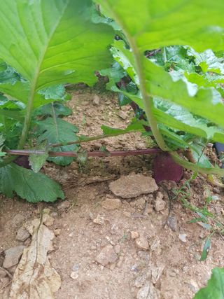 김건호님의 자유주제 · 자유게시판 작성글 사진