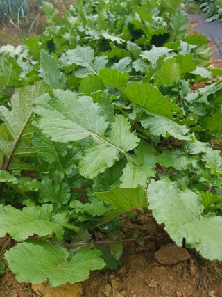 김건호님의 자유주제 · 자유게시판 작성글 사진