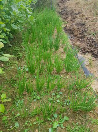 김건호님의 자유주제 · 자유게시판 작성글 사진