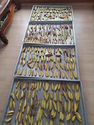 강원사랑인님의 자유주제 · 자유게시판 작성글 사진