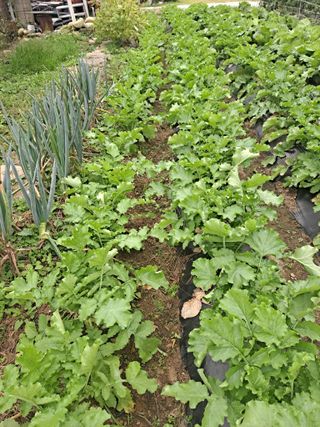 강원사랑인님의 자유주제 · 자유게시판 작성글 사진