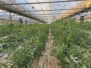 김대민님의 자유주제 · 자유게시판 작성글 사진