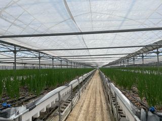 김대민님의 자유주제 · 자유게시판 작성글 사진