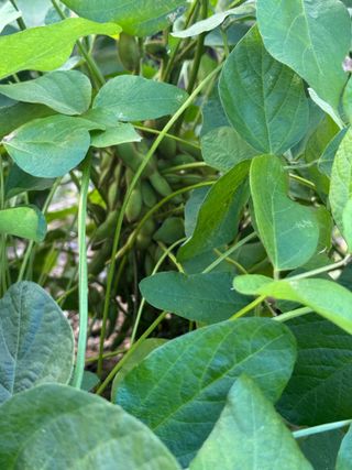 김대민님의 자유주제 · 자유게시판 작성글 사진