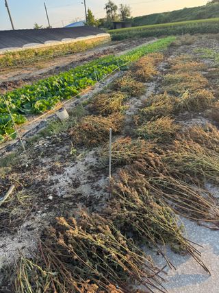 김대민님의 자유주제 · 자유게시판 작성글 사진