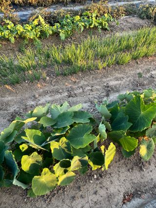 김대민님의 자유주제 · 자유게시판 작성글 사진