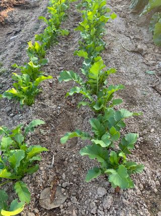 김대민님의 자유주제 · 자유게시판 작성글 사진