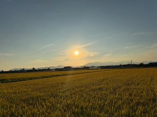 김대민님의 자유주제 · 자유게시판 작성글 사진
