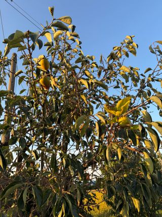 김대민님의 자유주제 · 자유게시판 작성글 사진