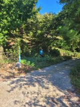 팜모닝 기타작물·영농일지 게시글 이미지