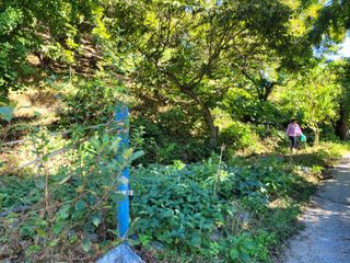 홍가네수정농장님의 기타작물 · 영농일지 작성글 사진