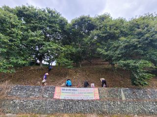 홍가네수정농장님의 기타작물 · 영농일지 작성글 사진