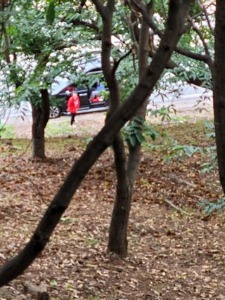 홍가네수정농장님의 기타작물 · 영농일지 작성글 사진