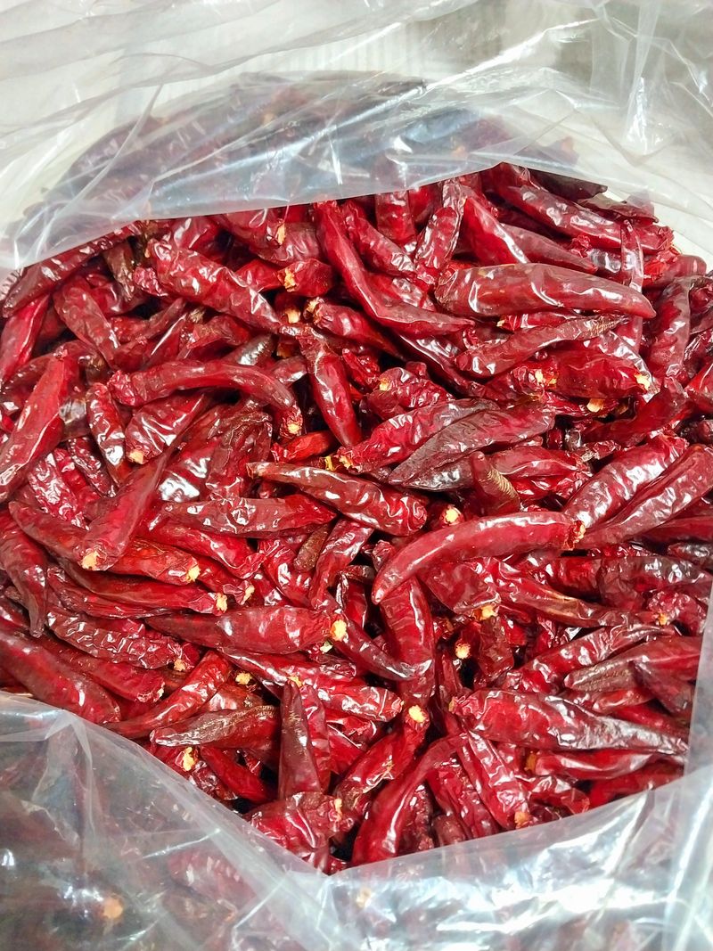 장터 상품 [햇 건고추 팔아요(청양고추)] 썸네일