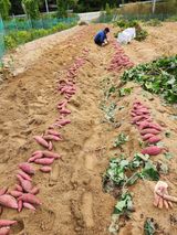 팜모닝 자유주제·자유게시판 게시글 이미지