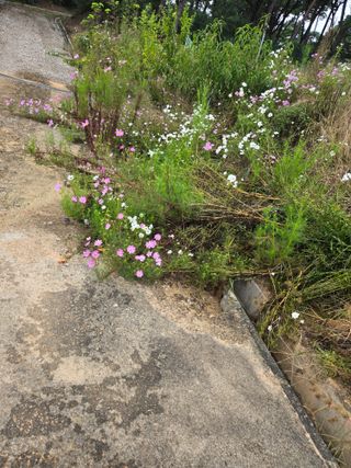 자연인님의 자유주제 · 자유게시판 작성글 사진