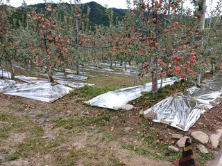 알 수 없음님의 자유주제 · 자유게시판 작성글 사진