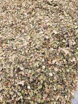 팜모닝 · 게시글 이미지