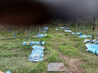 알 수 없음님의 자유주제 · 자유게시판 작성글 사진