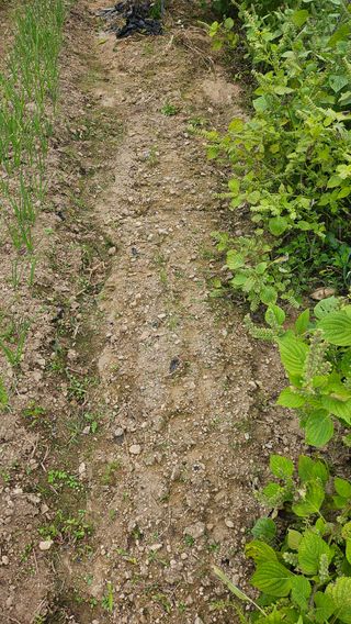 이원복님의 자유주제 · 사진전 작성글 사진