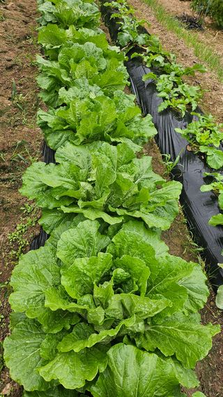 이원복님의 자유주제 · 사진전 작성글 사진