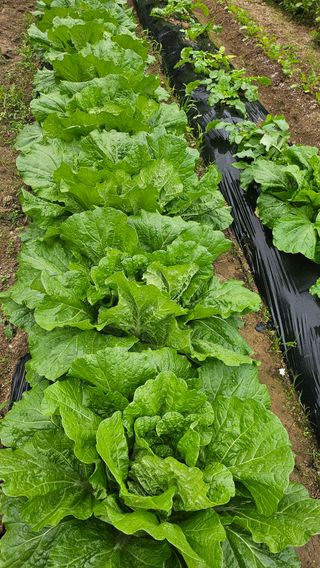 이원복님의 자유주제 · 사진전 작성글 사진