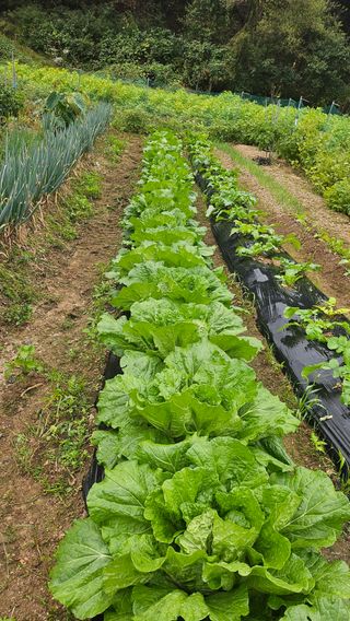이원복님의 자유주제 · 사진전 작성글 사진