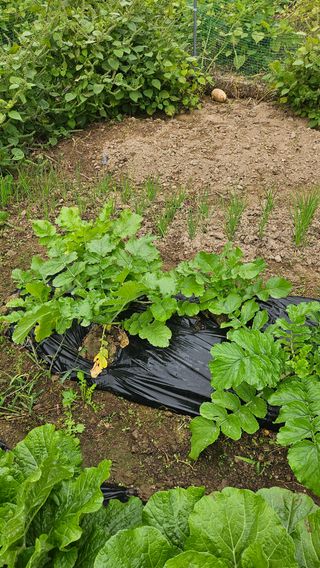 이원복님의 자유주제 · 사진전 작성글 사진